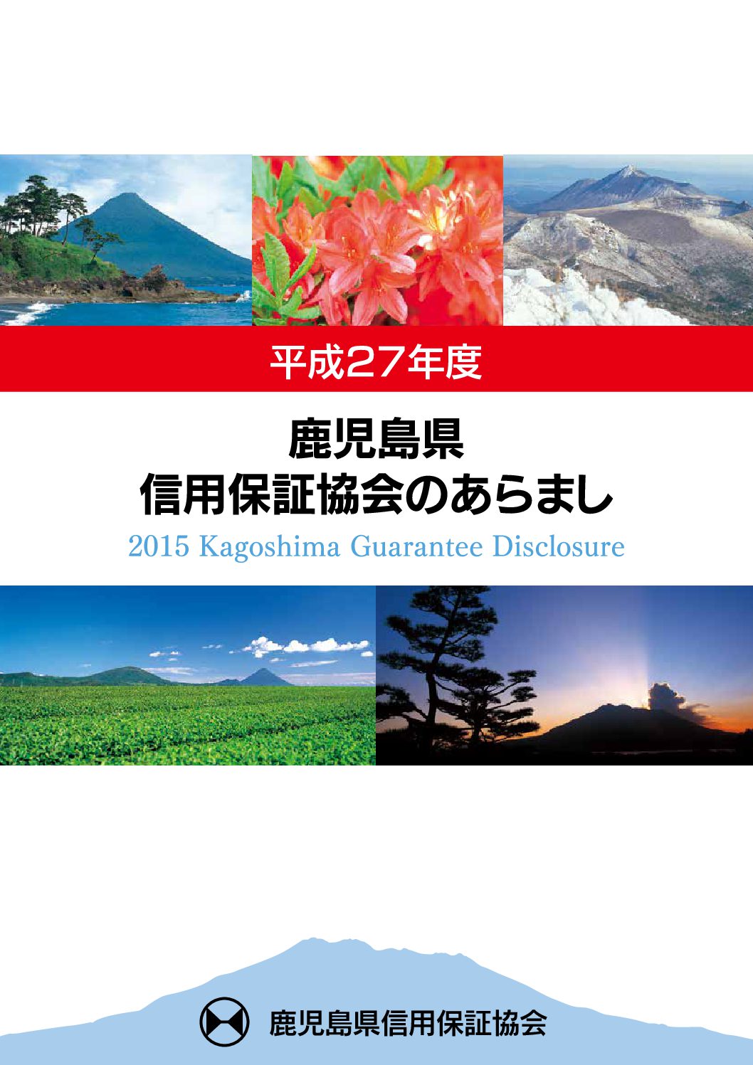 平成27年度 ディスクロージャー